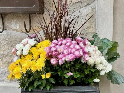 Fall planters Corley