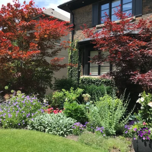 Garden by Vie Inc photo 8