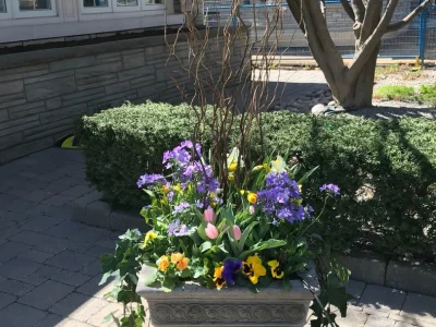 Wynnclark spring planter