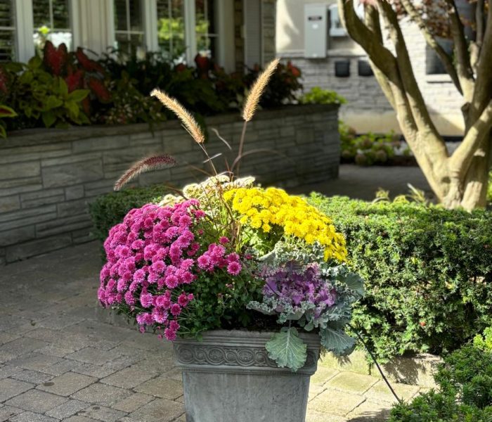 Fall pots 1