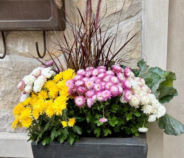 Fall pots 3
