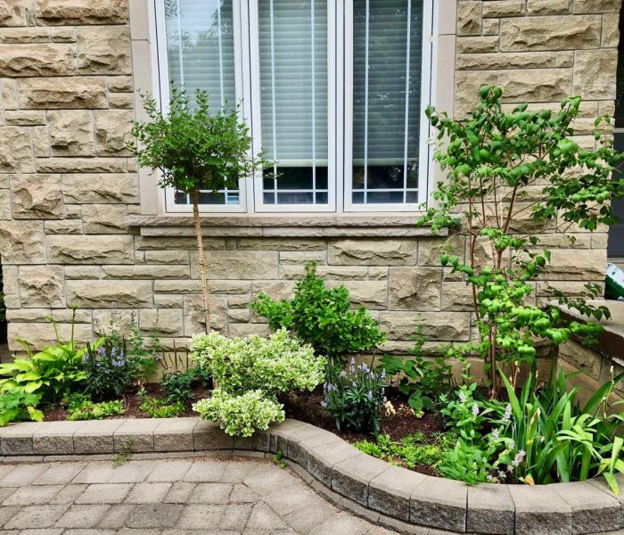 Garden Renovation 3