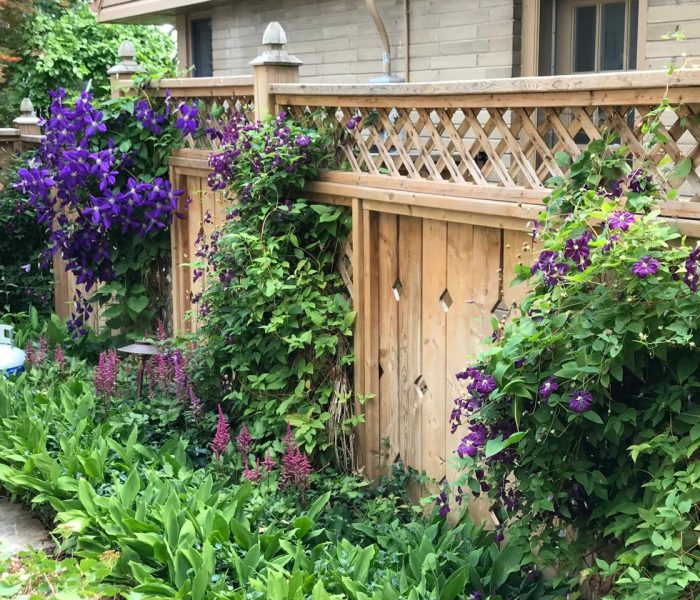 IMG_Gardenbyvie 1