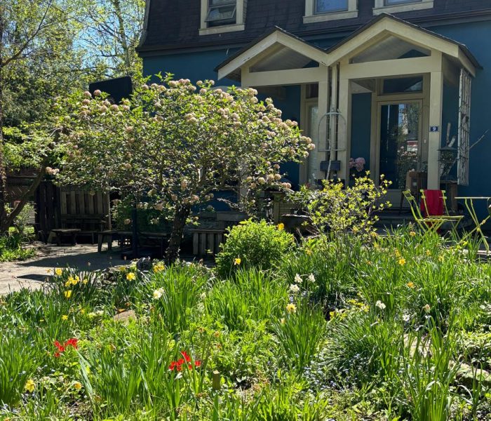 Spring & fall clean-ups 3