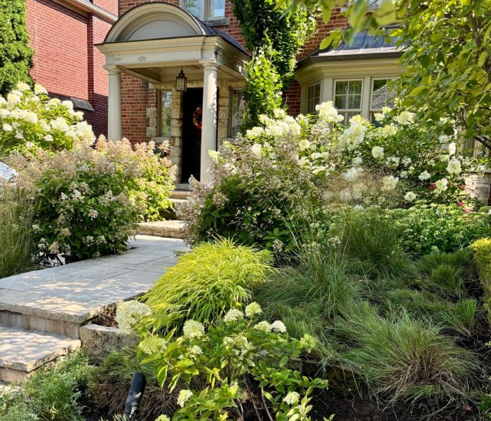 Spring & fall clean-ups 4