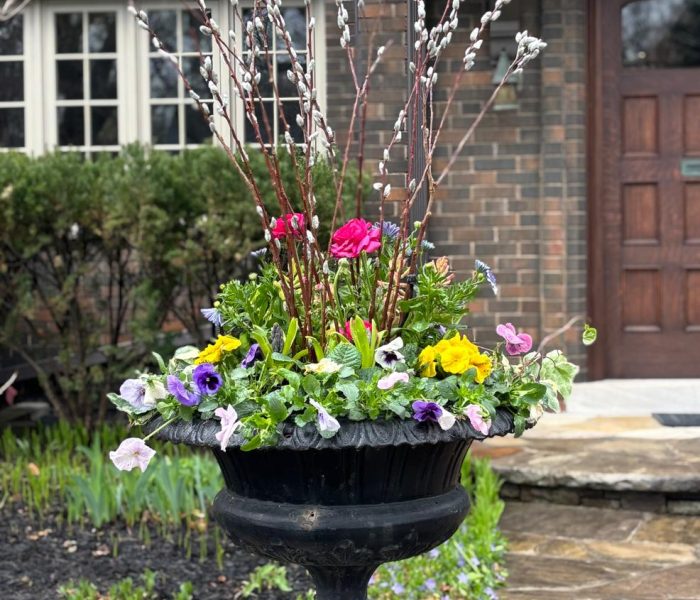 Spring planter 1