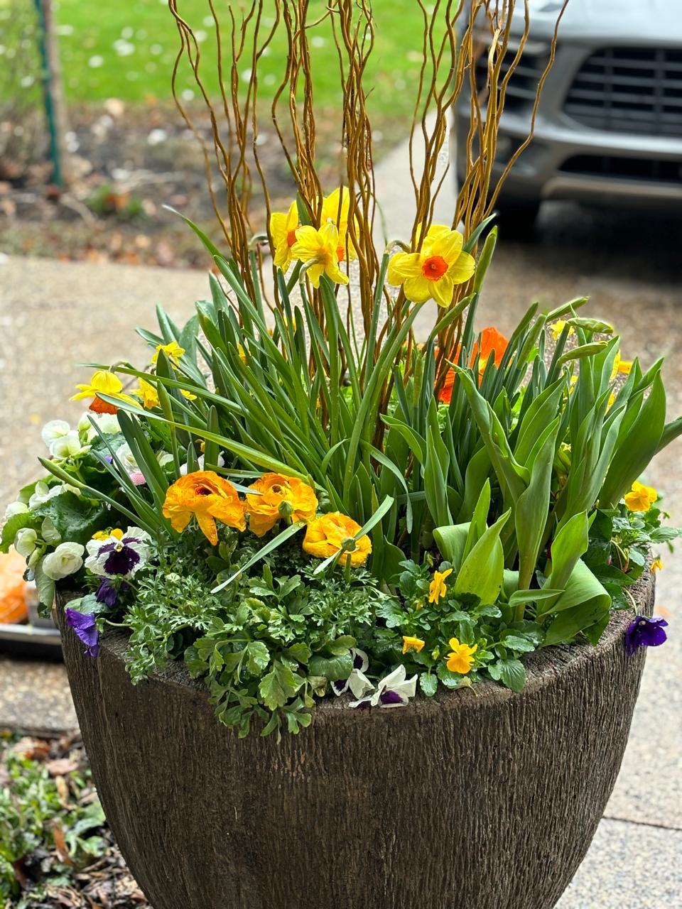 Seasonal Planters – Garden by Vie Inc