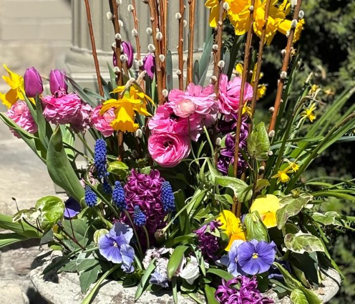 Spring planter 4