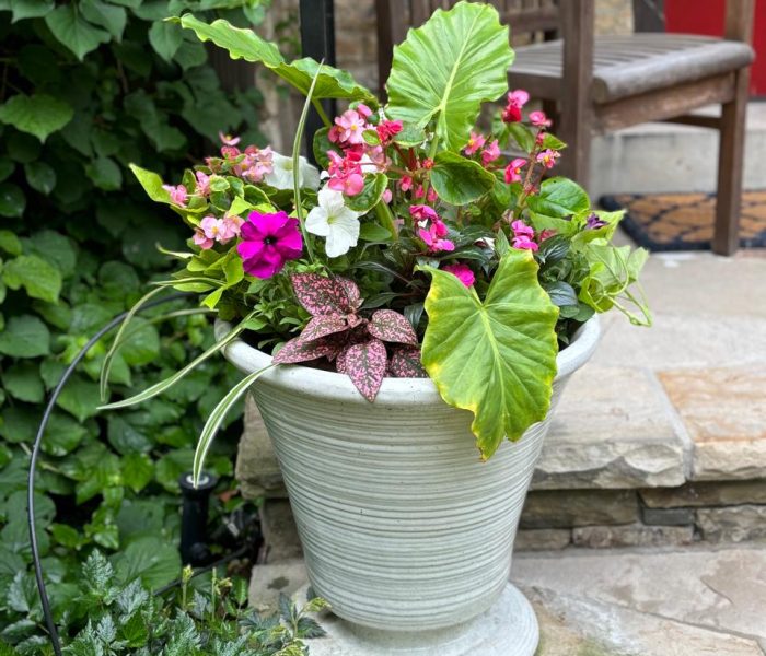 Summer planter 3