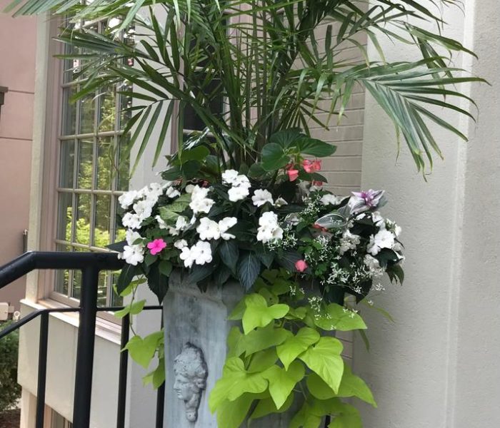 Summer planter 4