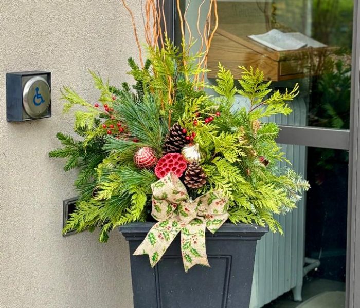 Winter planters 2