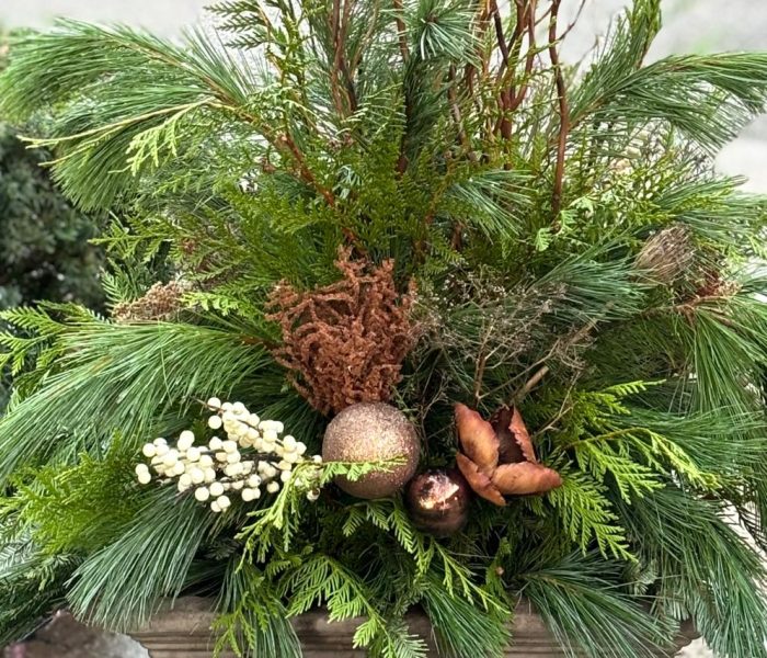 Winter planters 4