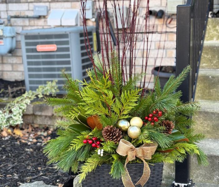 Winter planters 5