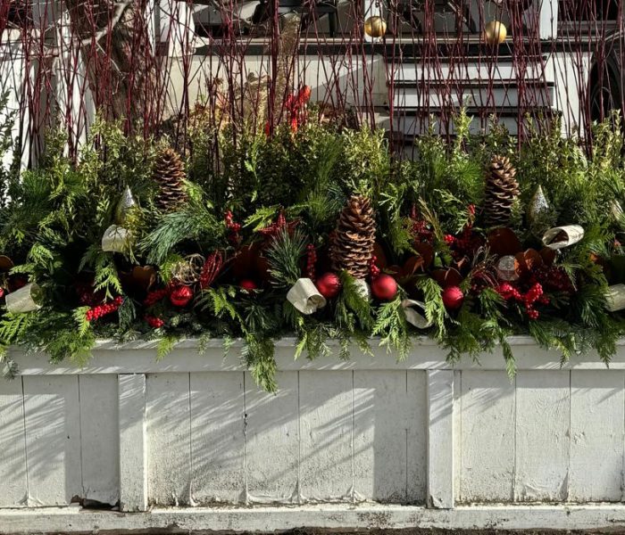 Winter planters 6