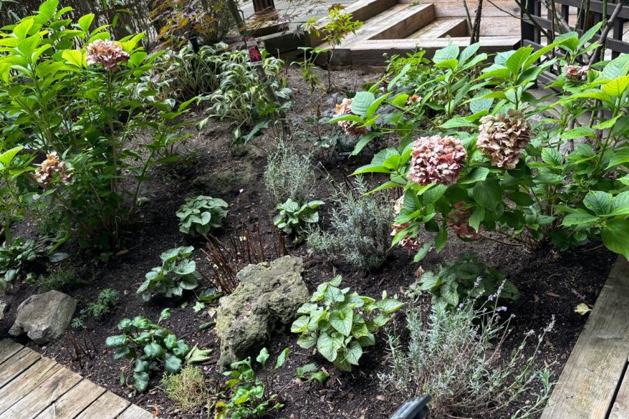Garden Renovation